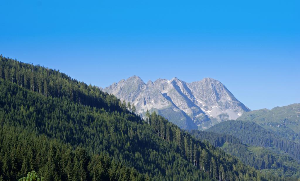 Gasthof Riederhof جيرلوس الغرفة الصورة